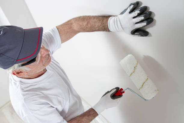 Best Real Estate Mold Inspection  in Spring, TX