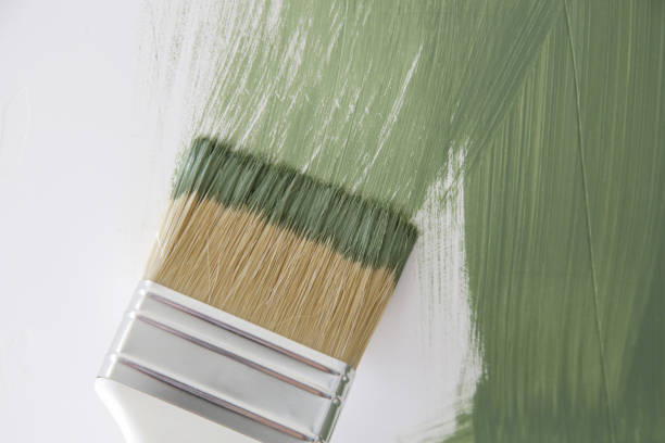 Best Mold Remediation for Healthcare Facilities  in Spring, TX