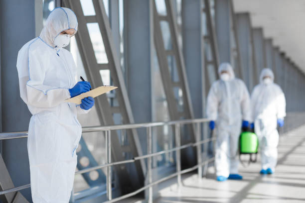 Best Mold Odor Removal Services  in Spring, TX