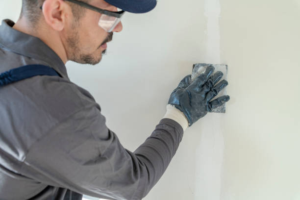 Best Basement Mold Removal  in Spring, TX