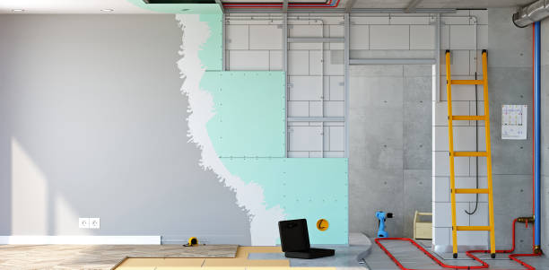 Best Post-Construction Mold Inspection  in Spring, TX