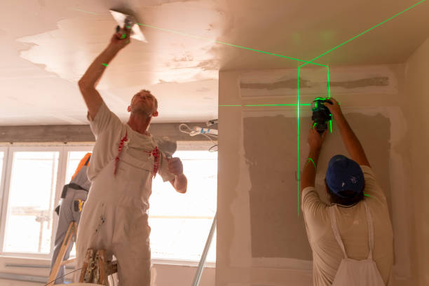 Best Mold Documentation for Insurance Claims  in Spring, TX