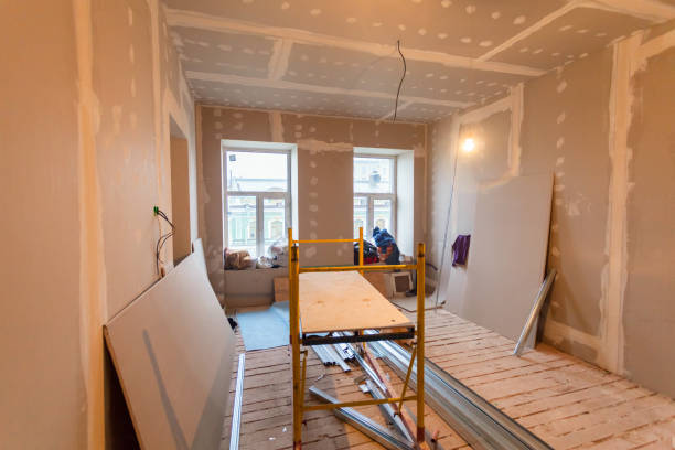 Best Emergency Mold Remediation  in Spring, TX